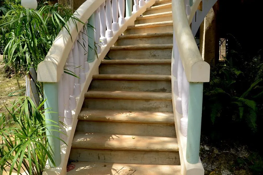 Jah Freedom Hotel Negril Jamaica